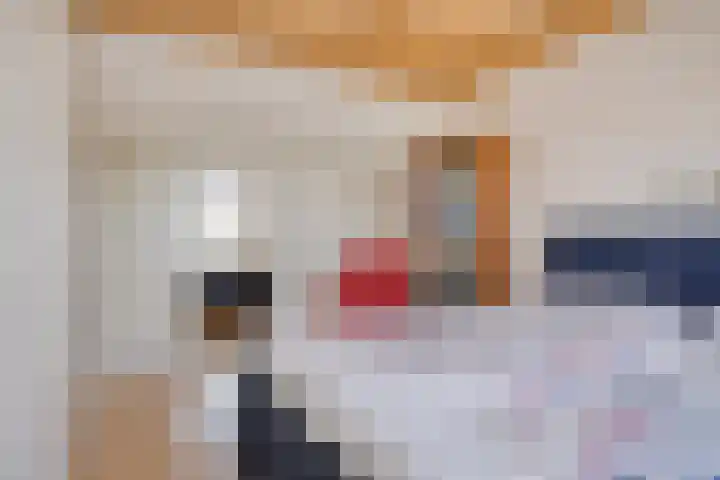 Kraakweg 4 Putten thumbnail 22