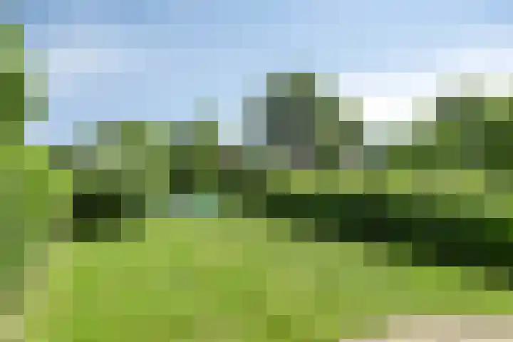 Kraakweg 4 Putten thumbnail 4
