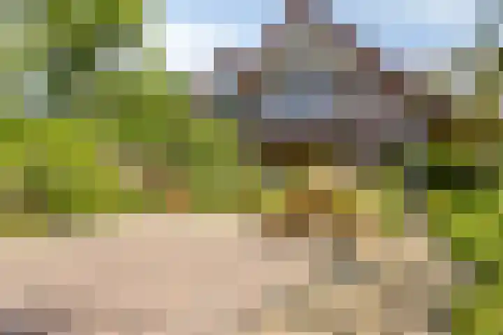 Kraakweg 4 Putten thumbnail 43