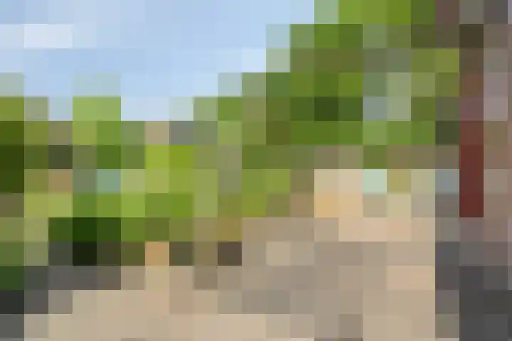 Kraakweg 4 Putten thumbnail 48