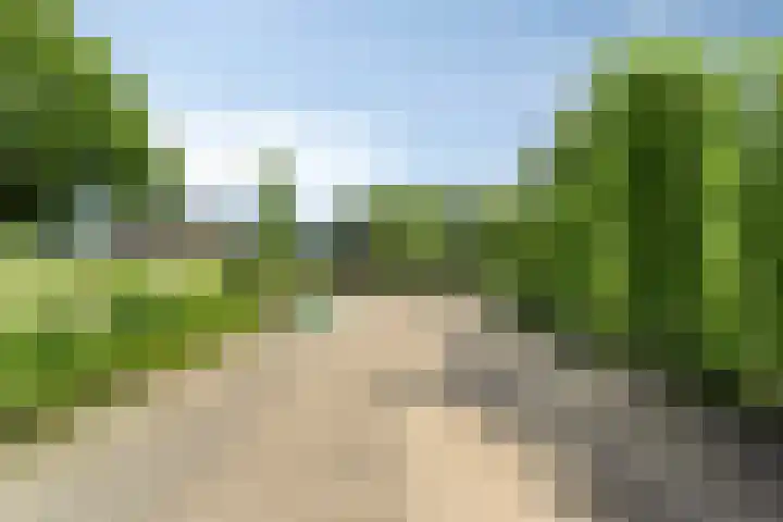 Kraakweg 4 Putten thumbnail 8