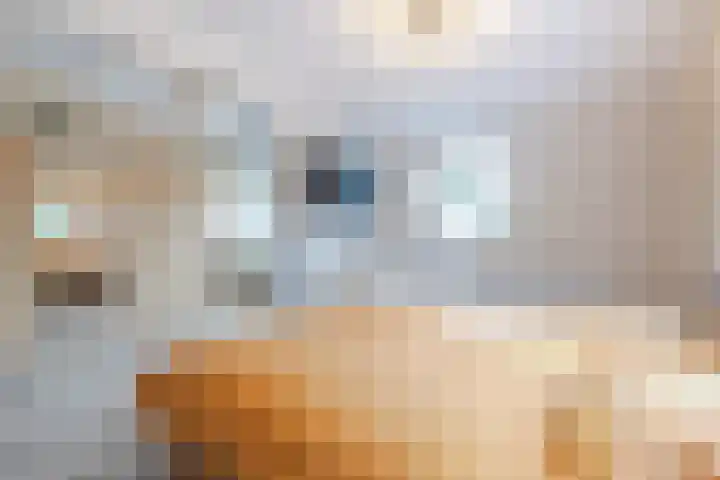 Kraal 1 Sliedrecht thumbnail 14