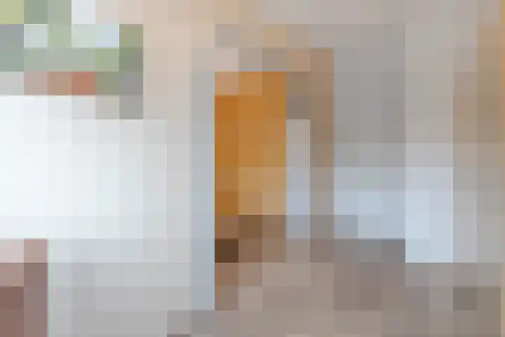 Kraal 1 Sliedrecht thumbnail 15
