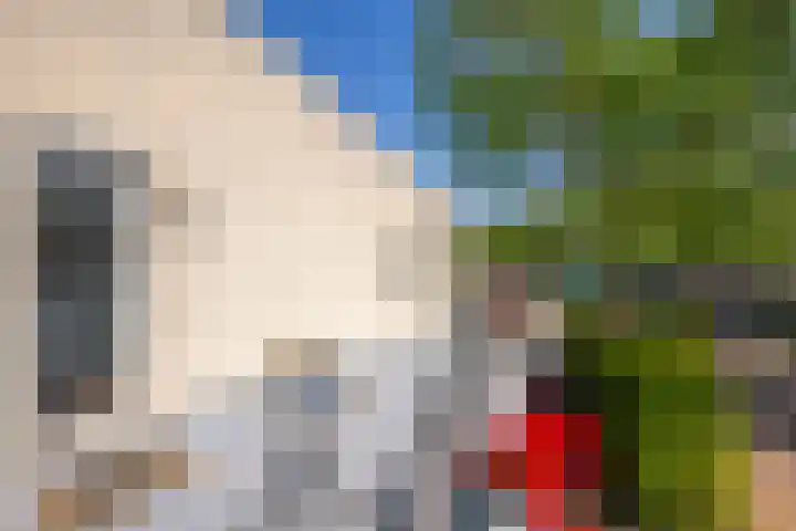 Kraal 1 Sliedrecht thumbnail 17