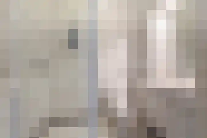 Kraal 1 Sliedrecht thumbnail 19