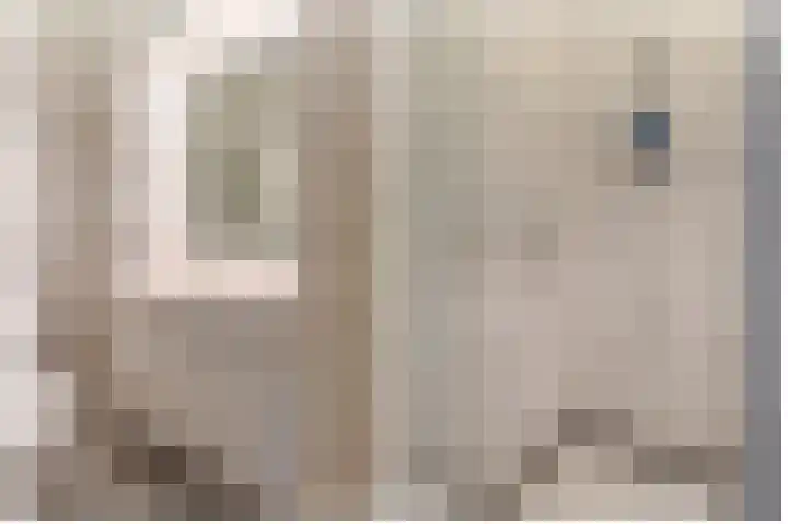 Kraal 1 Sliedrecht thumbnail 20