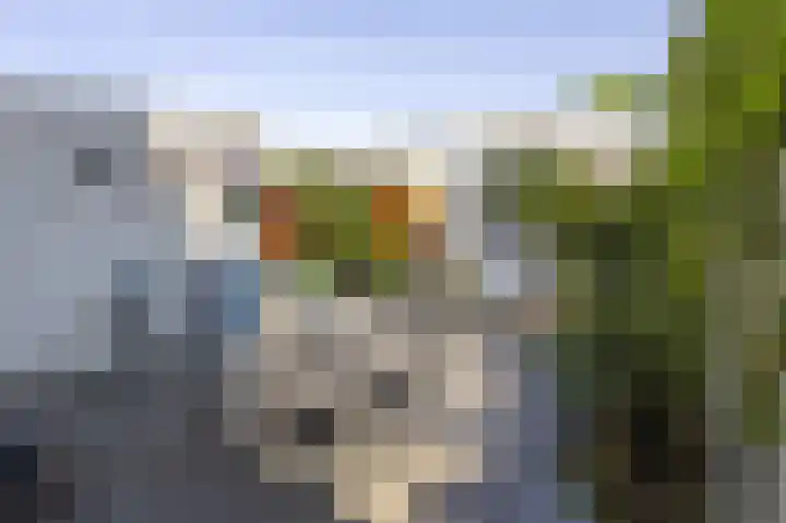 Kraal 1 Sliedrecht thumbnail 21