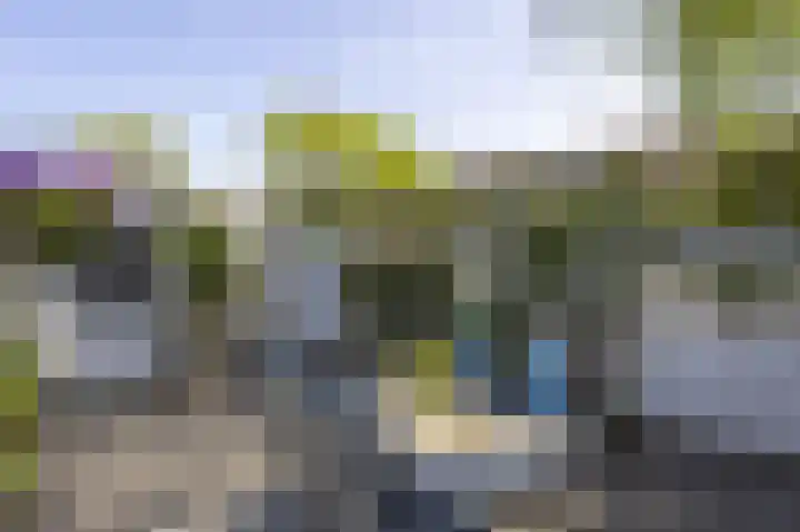 Kraal 1 Sliedrecht thumbnail 22