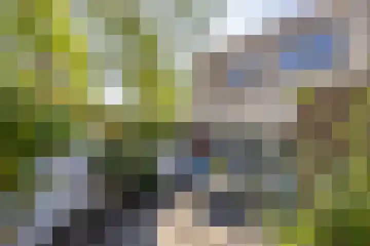 Kraal 1 Sliedrecht thumbnail 23