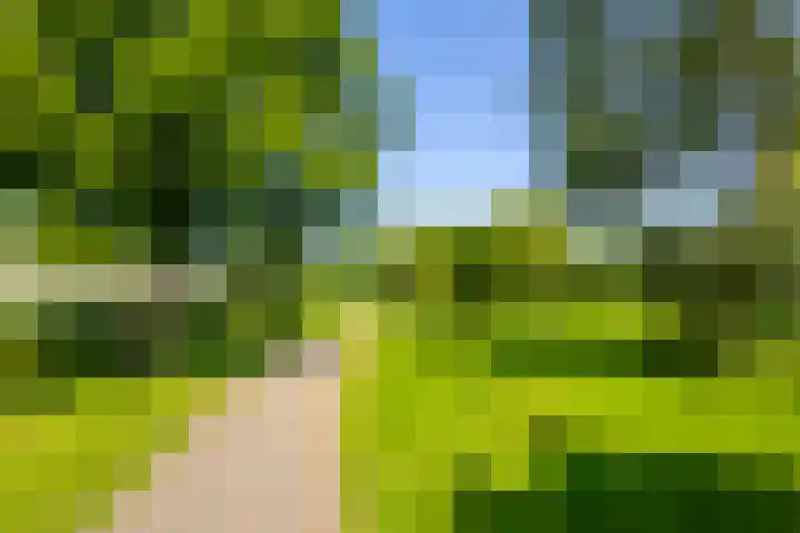 Kraal 1 Sliedrecht thumbnail 24