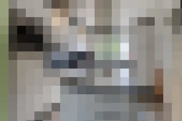 Kraal 1 Sliedrecht thumbnail 8
