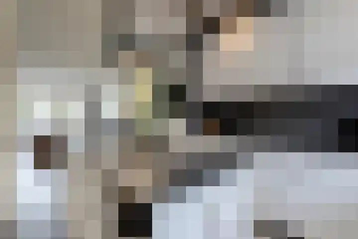 Kraal 1 Sliedrecht thumbnail 9