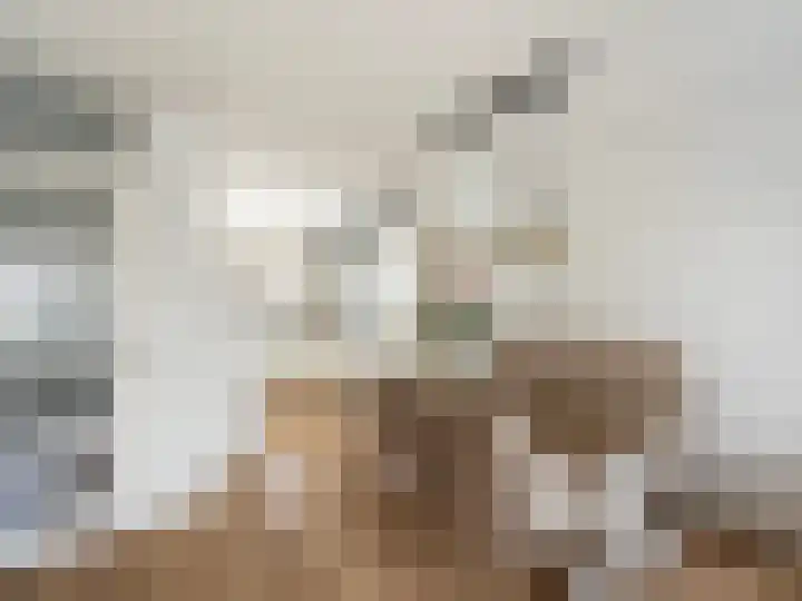Kraal 23 Sliedrecht thumbnail 12