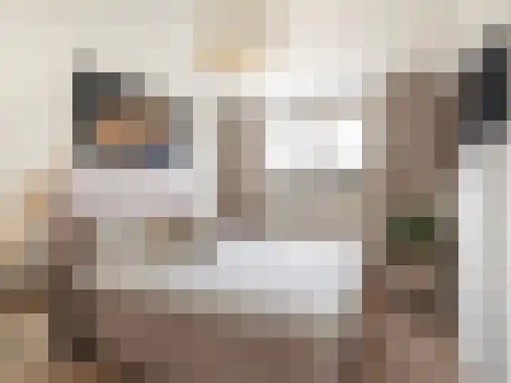 Kraal 23 Sliedrecht thumbnail 20