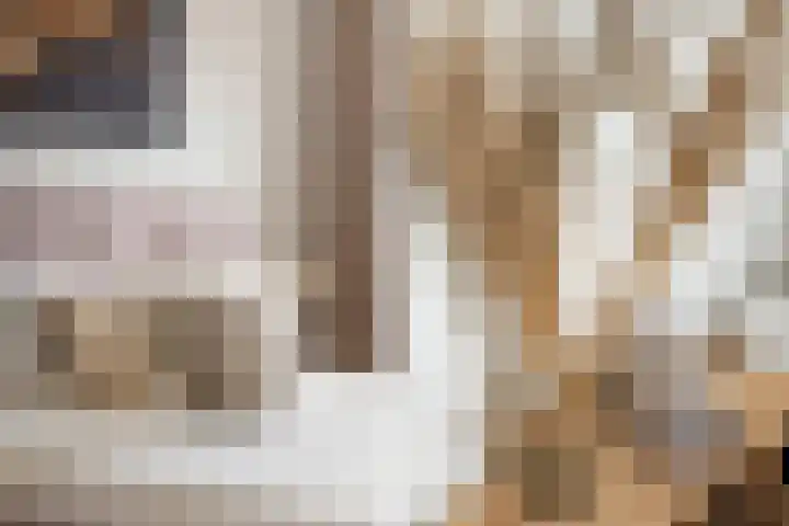 Kraal 23 Sliedrecht thumbnail 21