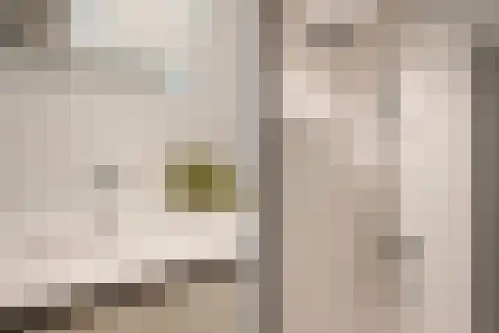 Kraal 23 Sliedrecht thumbnail 29