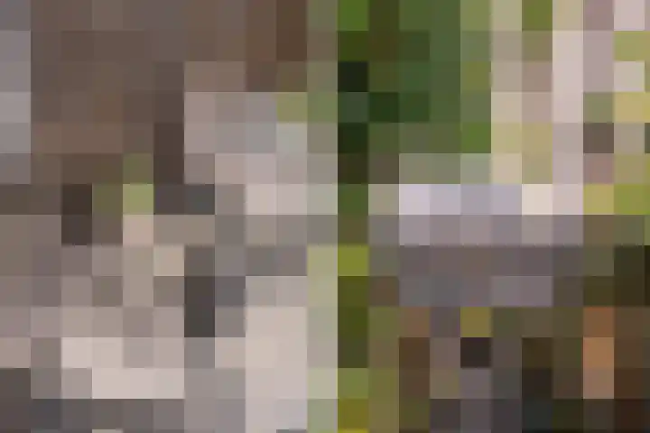 Kraal 23 Sliedrecht thumbnail 34