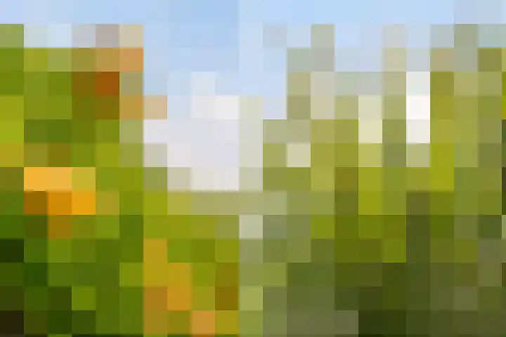Kraal 23 Sliedrecht thumbnail 35