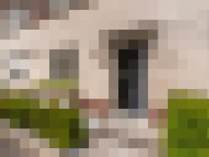 Kraal 23 Sliedrecht thumbnail 6