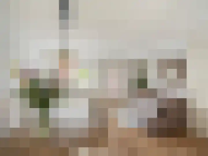 Kraal 23 Sliedrecht thumbnail 8
