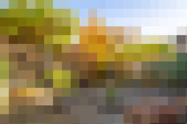 Kraal 33 Sliedrecht thumbnail 22