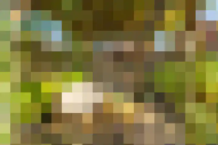 Kraal 33 Sliedrecht thumbnail 24