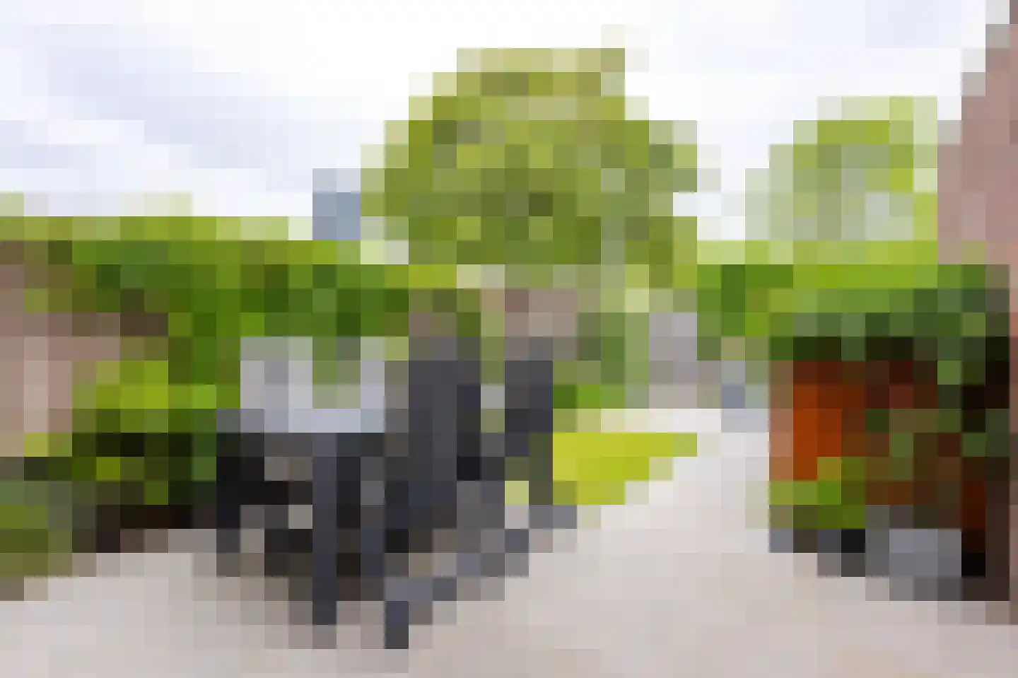 Kraal 64 Sliedrecht thumbnail 20