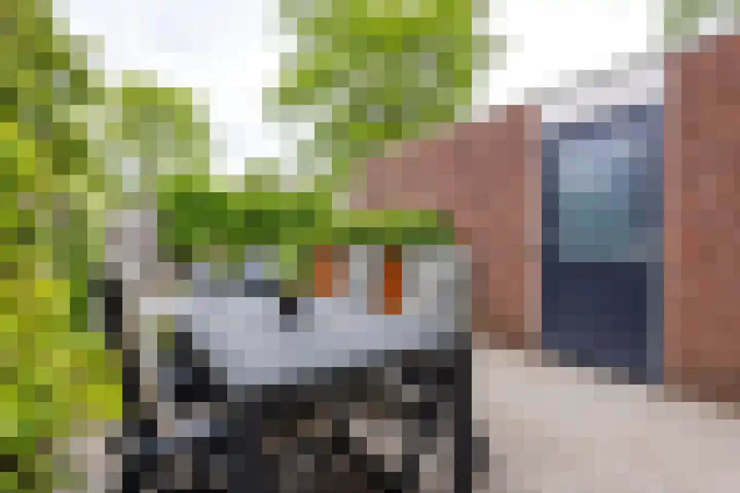 Kraal 64 Sliedrecht thumbnail 21