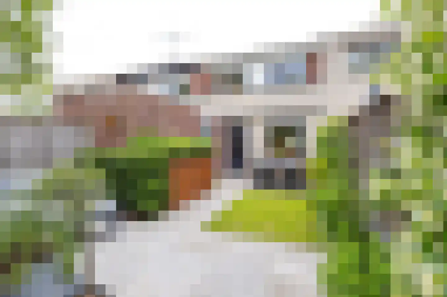 Kraal 64 Sliedrecht thumbnail 23