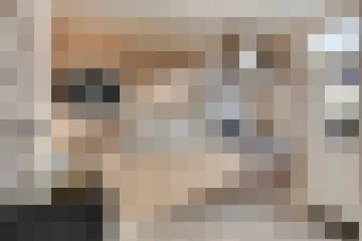 Kraan 17 Oud Gastel thumbnail 10
