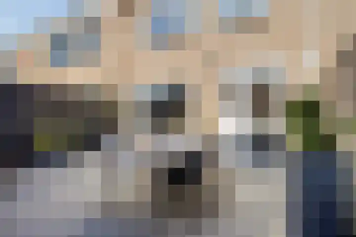 Kraan 17 Oud Gastel thumbnail 22
