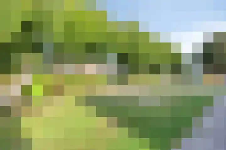 Kraan 17 Oud Gastel thumbnail 25