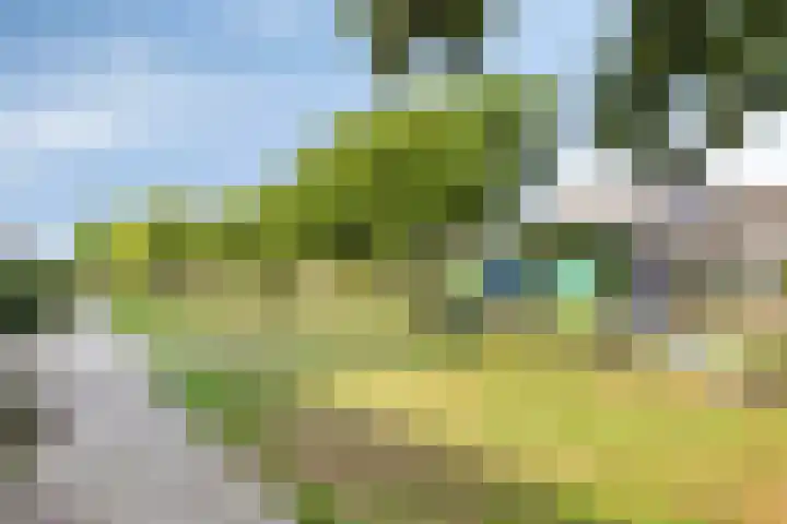 Kraan 17 Oud Gastel thumbnail 26