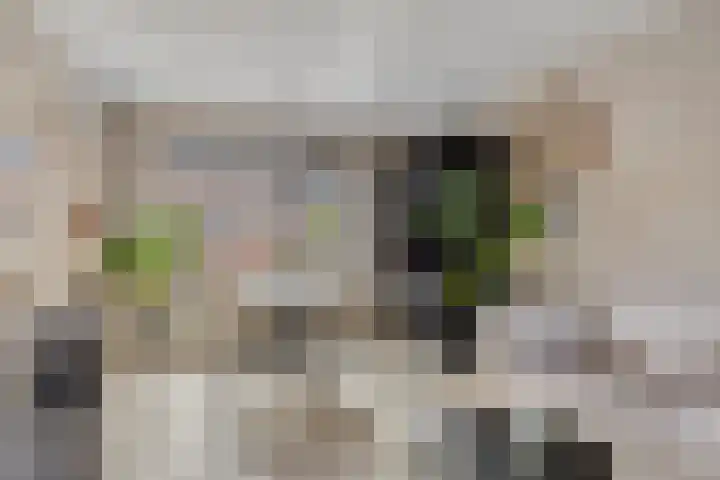 Kraan 17 Oud Gastel thumbnail 6