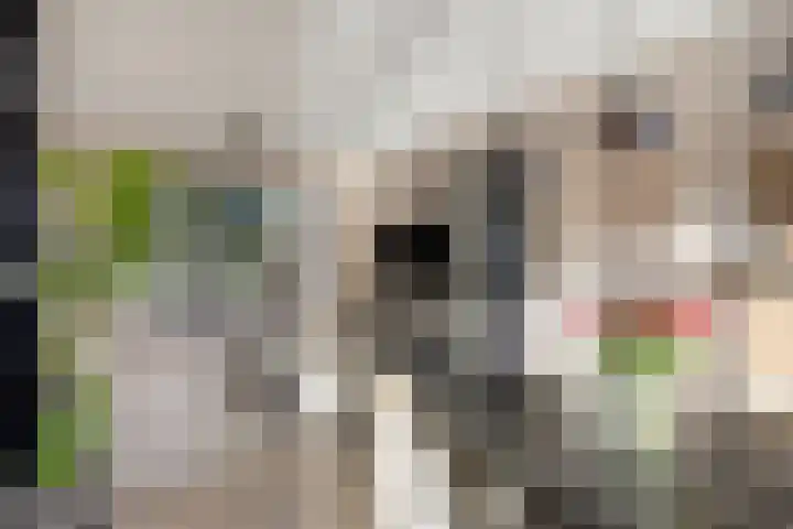 Kraan 17 Oud Gastel thumbnail 8