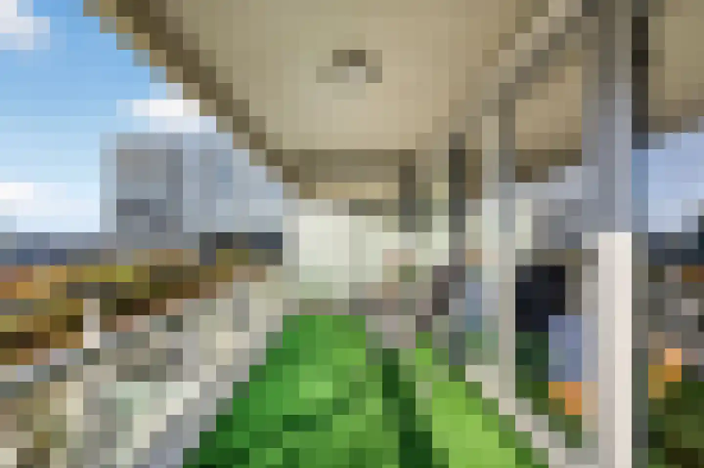 Kraanbaan 142 Alblasserdam thumbnail 15