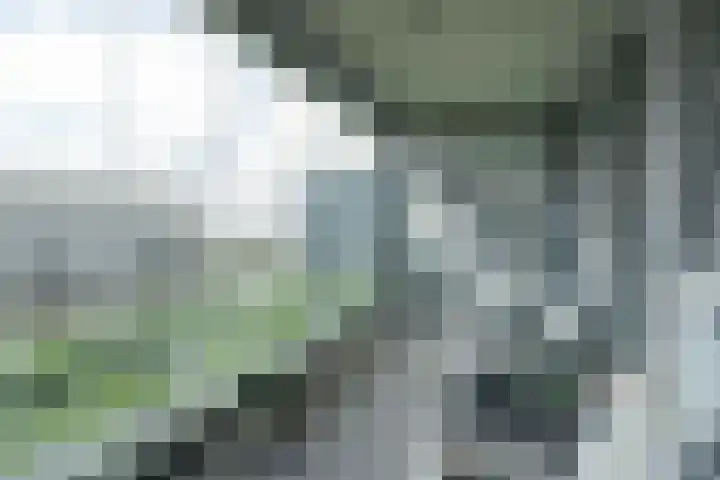 Kraanbaan 154 Alblasserdam thumbnail 12