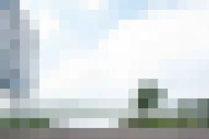 Kraanbaan 154 Alblasserdam thumbnail 21