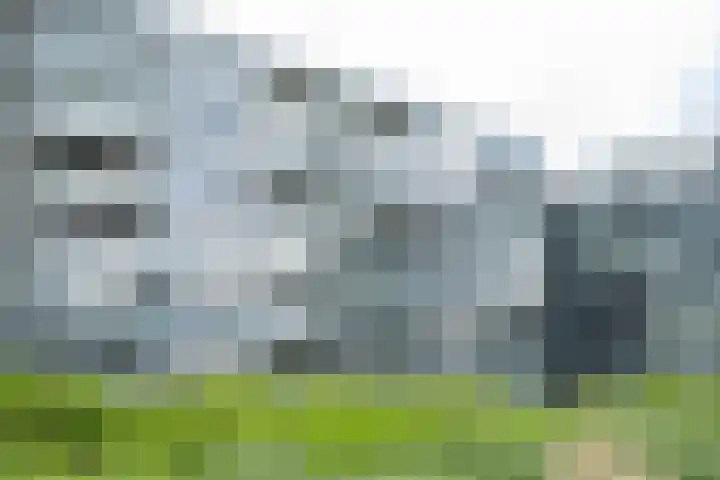 Kraanbaan 154 Alblasserdam thumbnail 22
