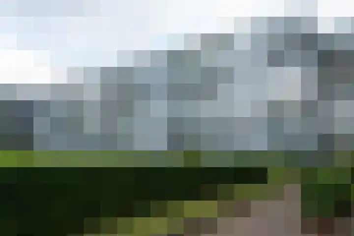 Kraanbaan 154 Alblasserdam thumbnail 23