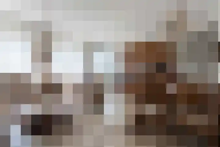 Kraanbaan 154 Alblasserdam thumbnail 7