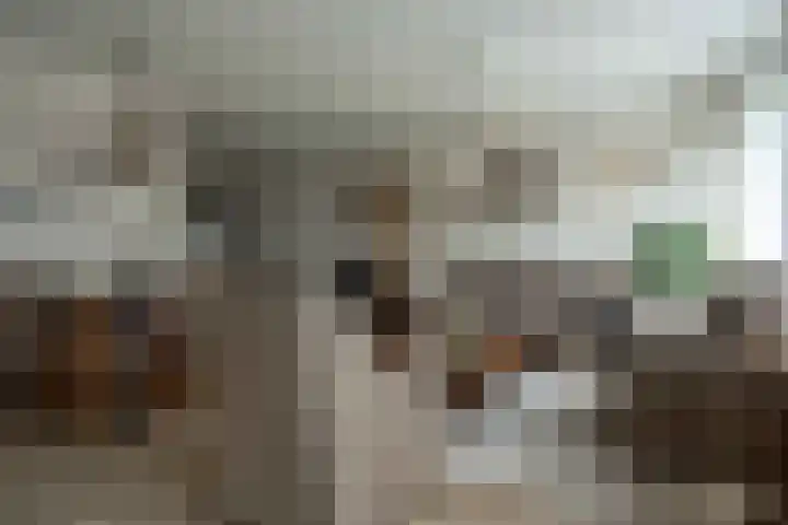Kraanbaan 154 Alblasserdam thumbnail 8