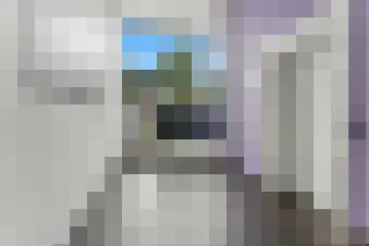 Kraanbaan 182 Alblasserdam thumbnail 32