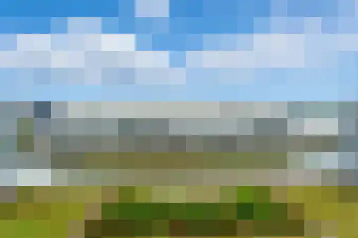 Kraanbaan 182 Alblasserdam thumbnail 8