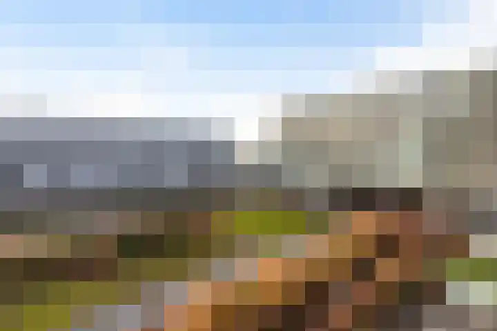 Kraanbaan 206 Alblasserdam thumbnail 29