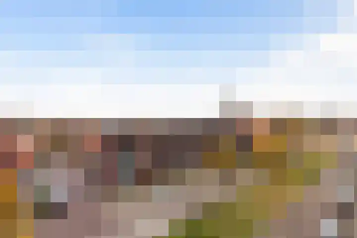Kraanbaan 206 Alblasserdam thumbnail 33