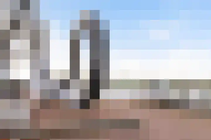 Kraanbaan 206 Alblasserdam thumbnail 37