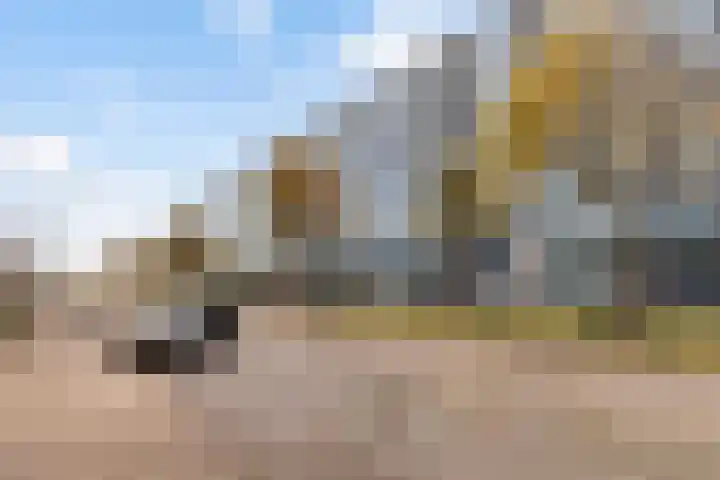 Kraanbaan 206 Alblasserdam thumbnail 39