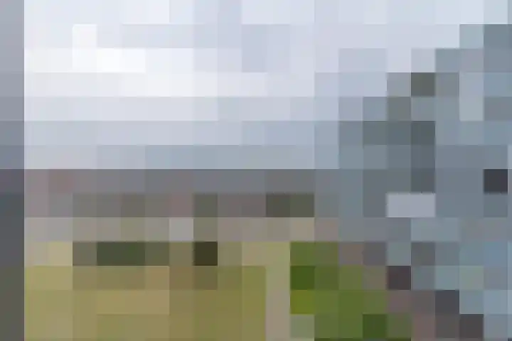 Kraanbaan 338 Alblasserdam thumbnail 4