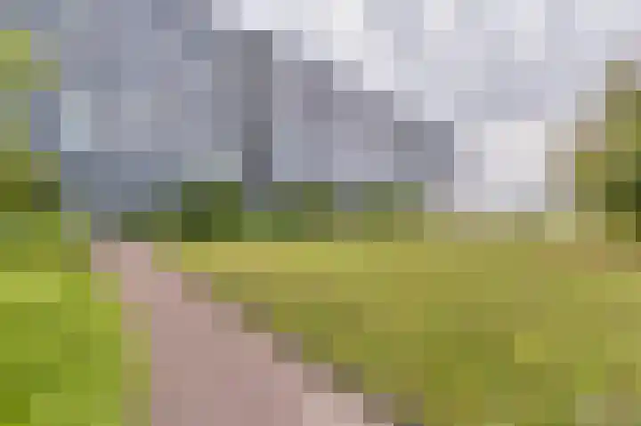 Kraanbaan 338 Alblasserdam thumbnail 5